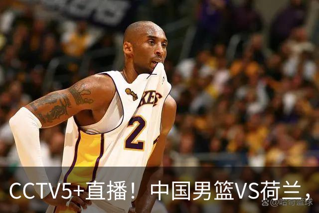 CCTV5+直播！中国男篮VS荷兰，杨瀚森确定出战，郭士强重点考察后卫